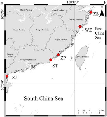 漳浦到汕頭多少公里?兩地的地理距離雖僅有約197公裡,卻蘊含了無數歷史文化與經濟交流的故事。